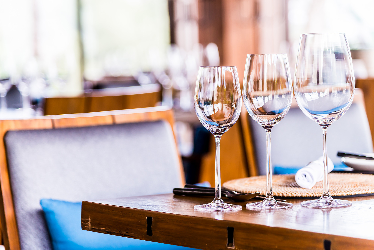 tipos de copas vinos y maridaje